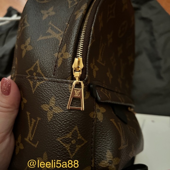 Louis Vuitton Palm Springs mini - Picture 7 of 10